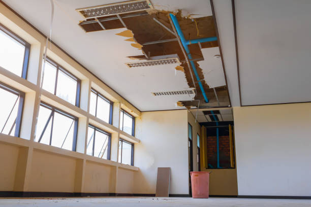 Best Water damage contractors near me  in Altamont, TN