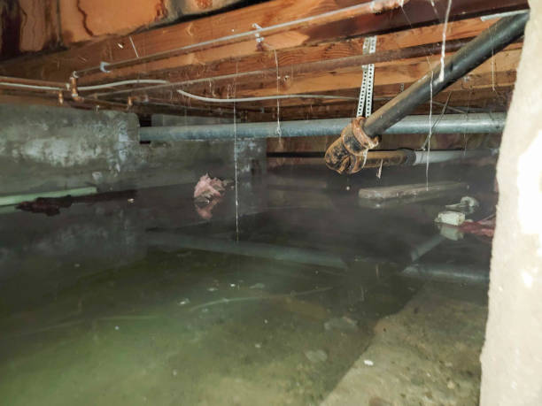 Water damage restoration process in TN