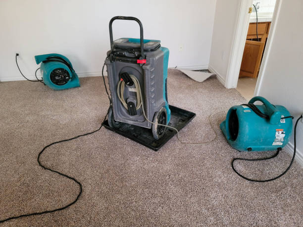 Best Flood damage cleanup  in Altamont, TN