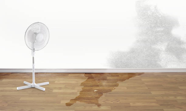 Best 24-hour water damage restoration  in Altamont, TN