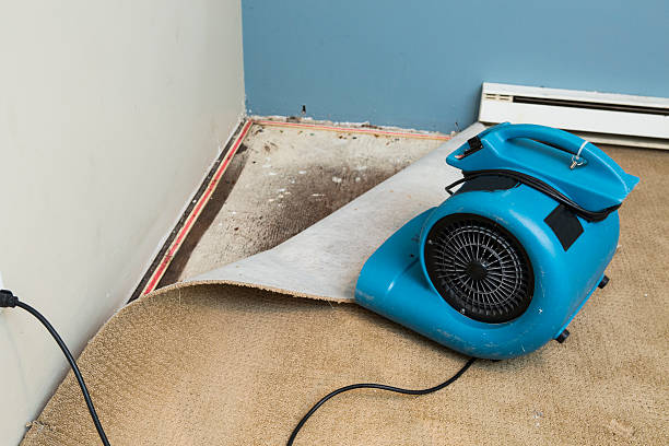 Best Flood damage cleanup  in Altamont, TN